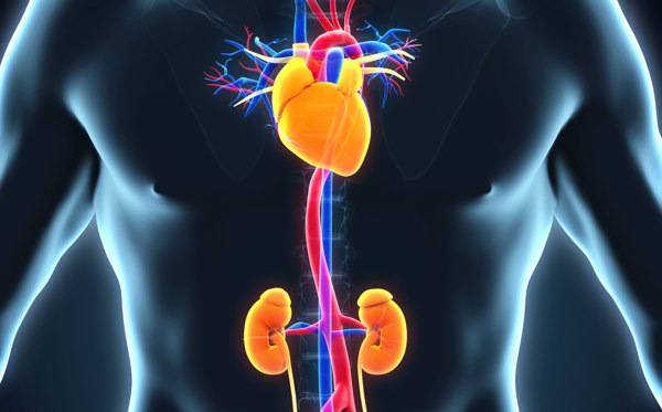 Chirurgia aorta toracica, addominale e toracoaddominale